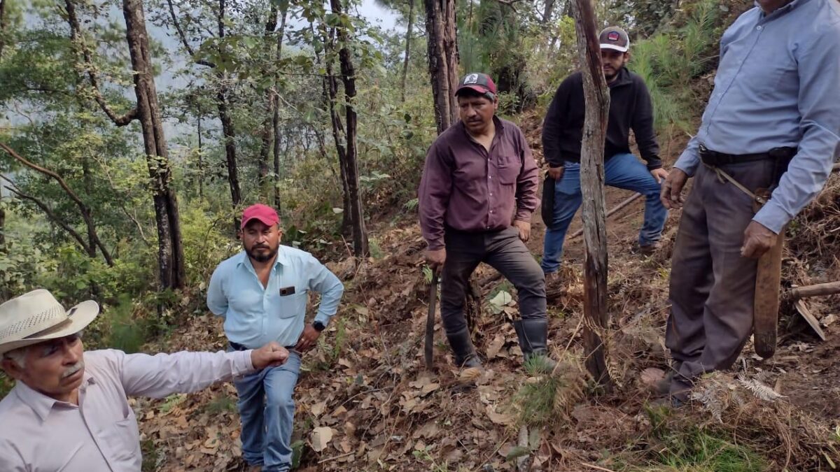 Ayuntamiento de Zacatlán imparte talleres previos al Proyecto de Reforestación Estratégica Integral
