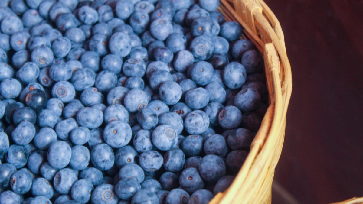 Inauguran la Blue Ruta; autoridades destacan vocación agroturística de Zacatlán