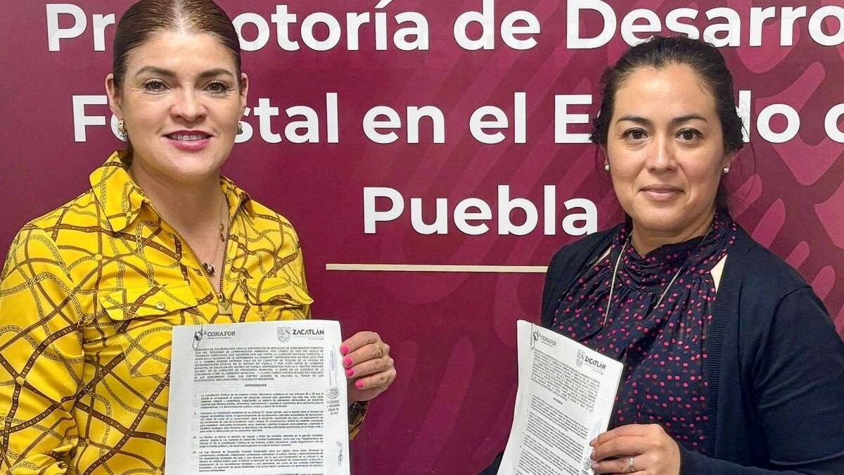 Ayuntamiento de Zacatlán y CONAFOR combatirán plagas forestales