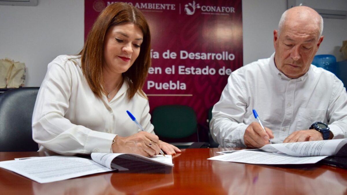 Bety Sánchez garantiza la sustentabilidad de los bosques con firma de convenio con CONAFOR