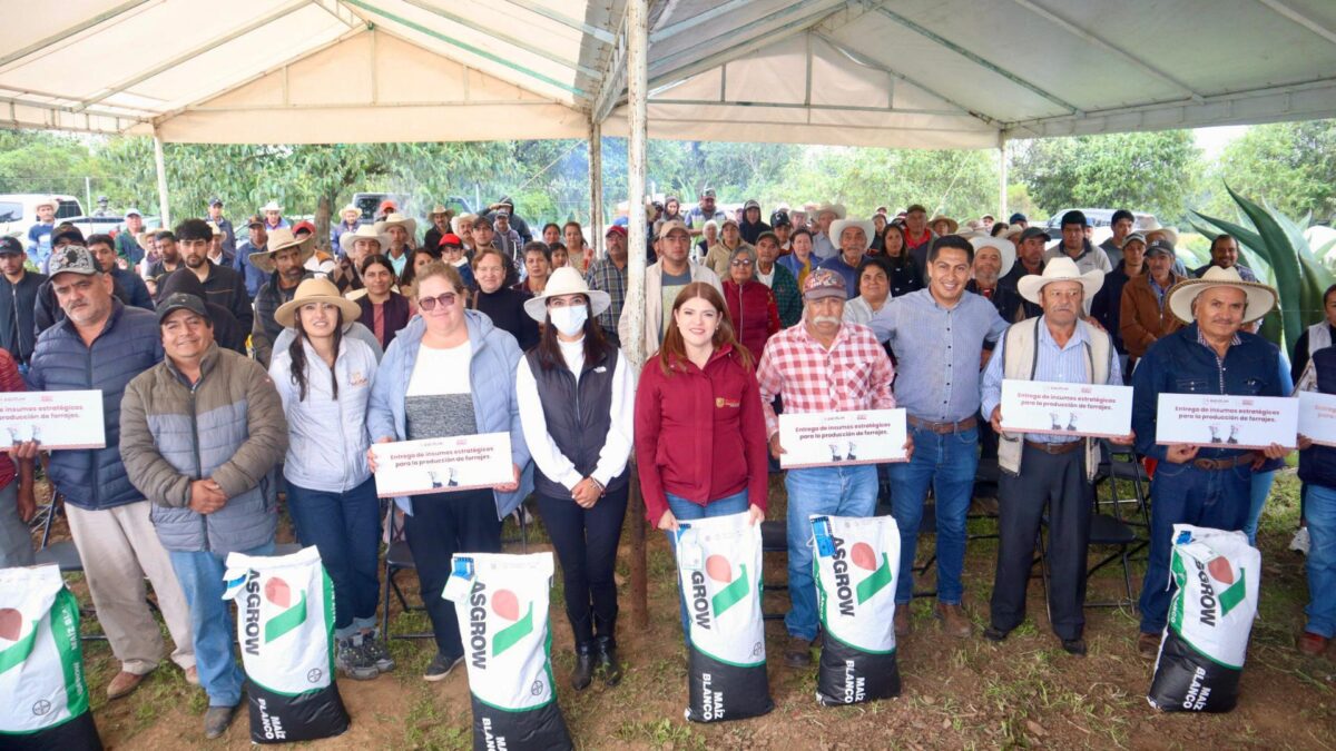 En Ayotla, Bety Sánchez inicia programa de entrega de maíz mejorado para forraje; beneficia a más de 540 productores