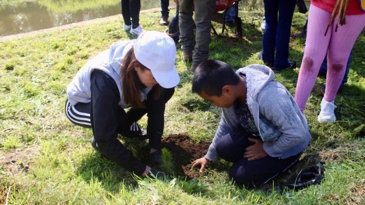 Con reforestación, Zacatlán garantiza más agua