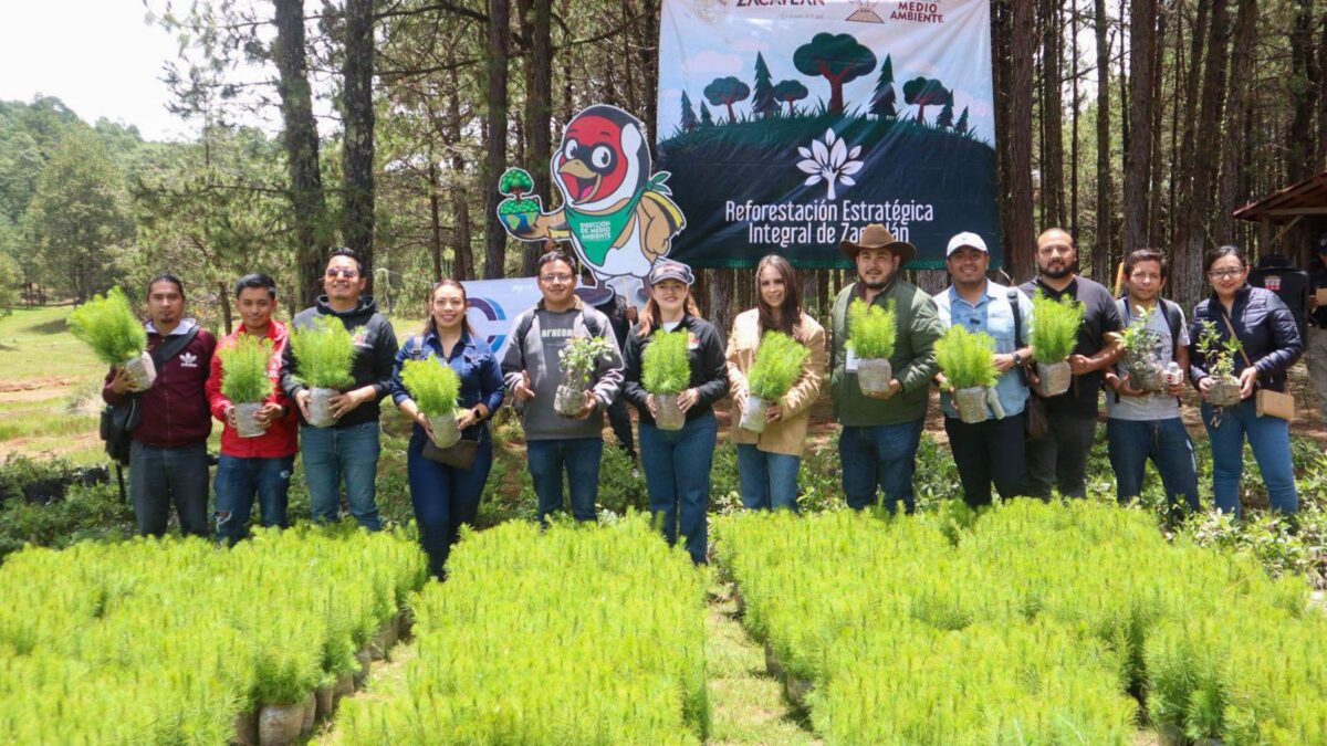 Zacatlán es ejemplo de reforestación a nivel estatal y nacional