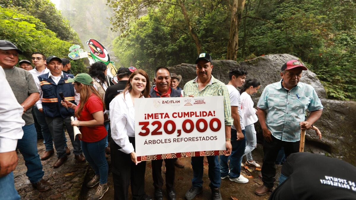 Zacatlán concluye temporada de reforestación 2025; cumplió meta de 320 mil árboles plantados