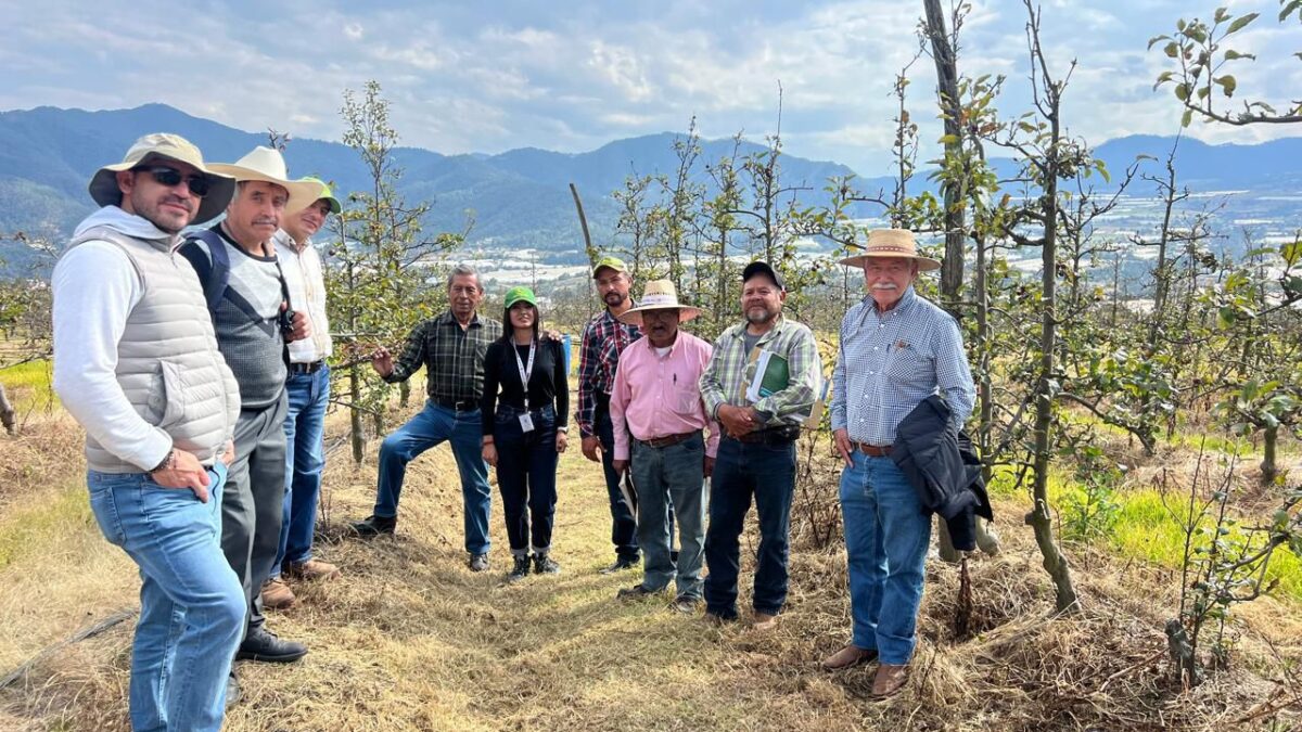 Productores de manzana de Zacatlán, fortalecen sus conocimientos en Aquixtla