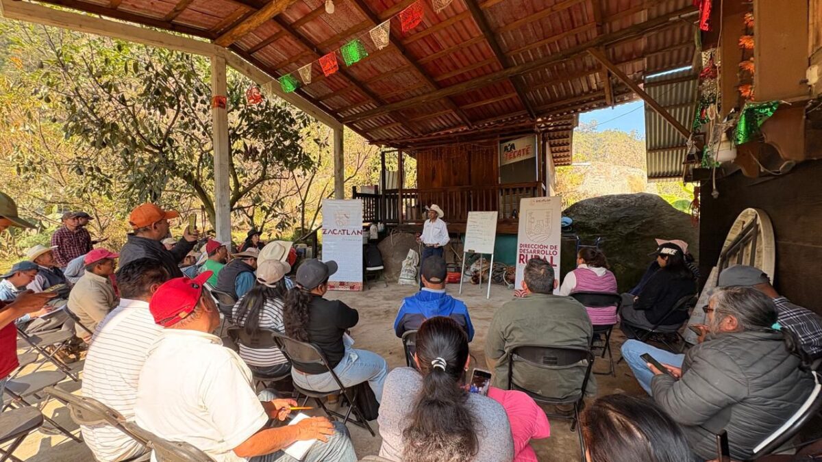 Gobierno Municipal de Zacatlán capacita a fruticultores en cultivo y poda de durazno