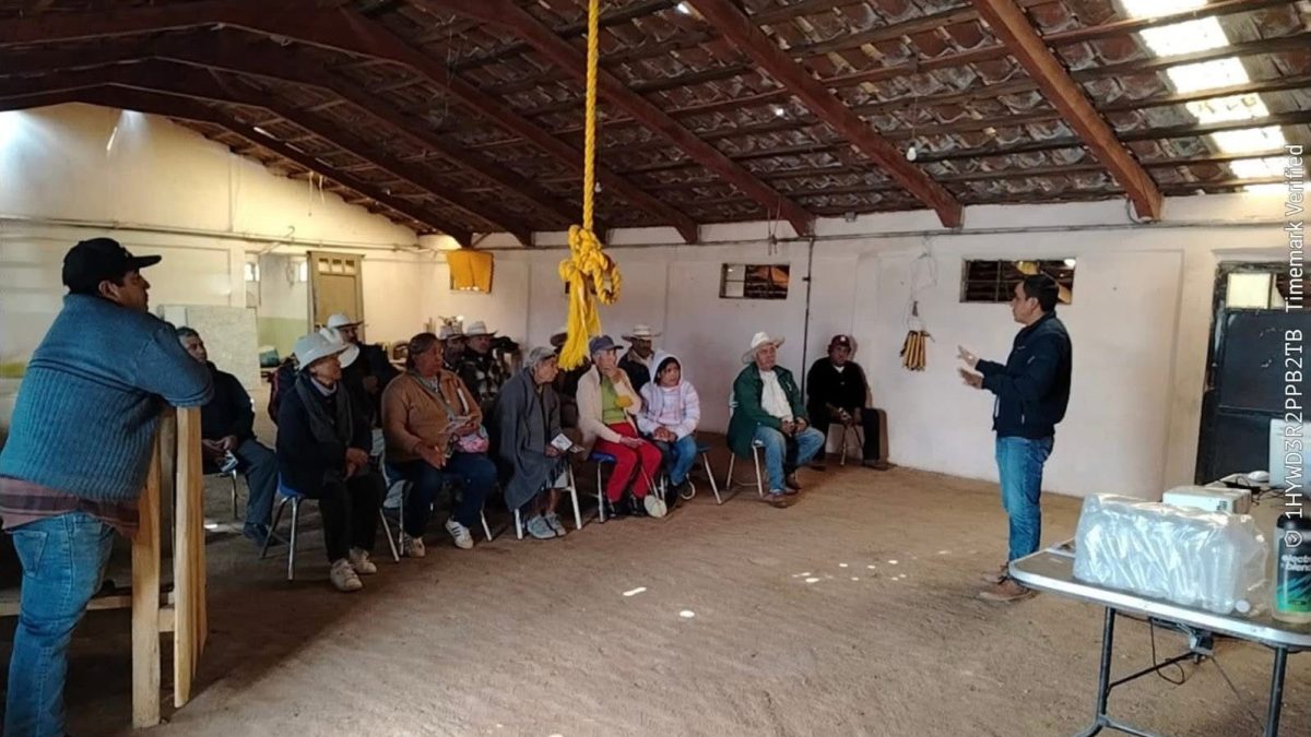 Zacatlán combate con éxito el gusano barrenador; salvan 10 especies animales