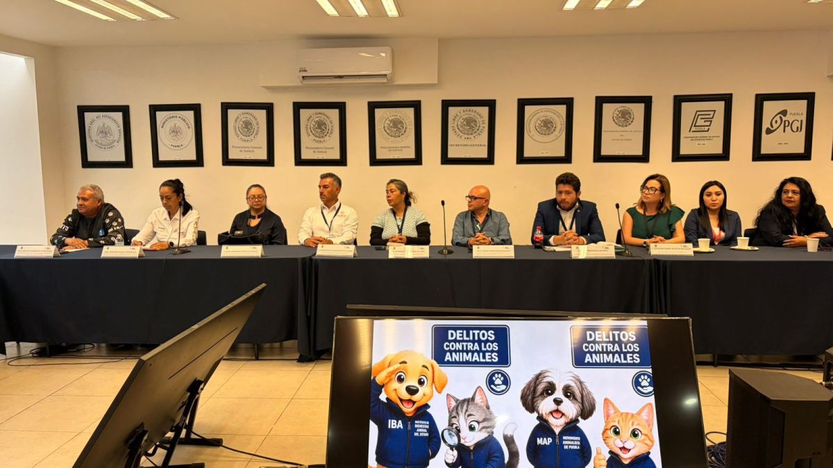 FGE reconoce a Gobierno de Zacatlán por su trabajo en la protección de seres sintientes