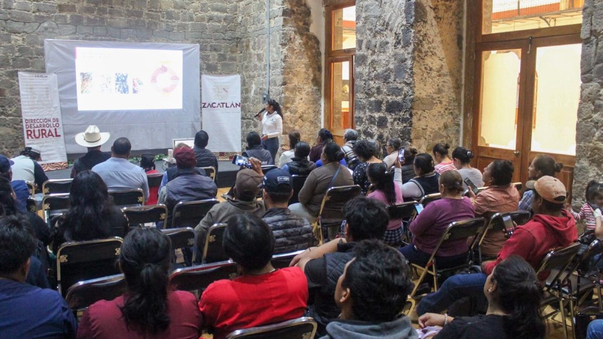Zacatlán fortalece acciones de prevención y atención contra el Gusano Barrenador