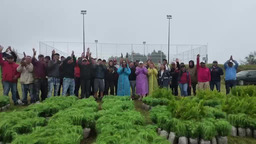 Así van los preparativos para la temporada de reforestación estratégica en Zacatlán