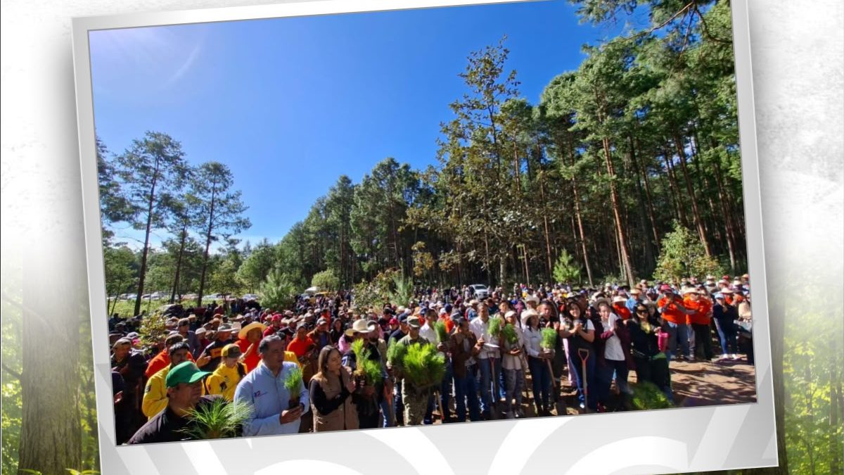 Zacatlán presente en la Jornada Nacional de Reforestación 2026