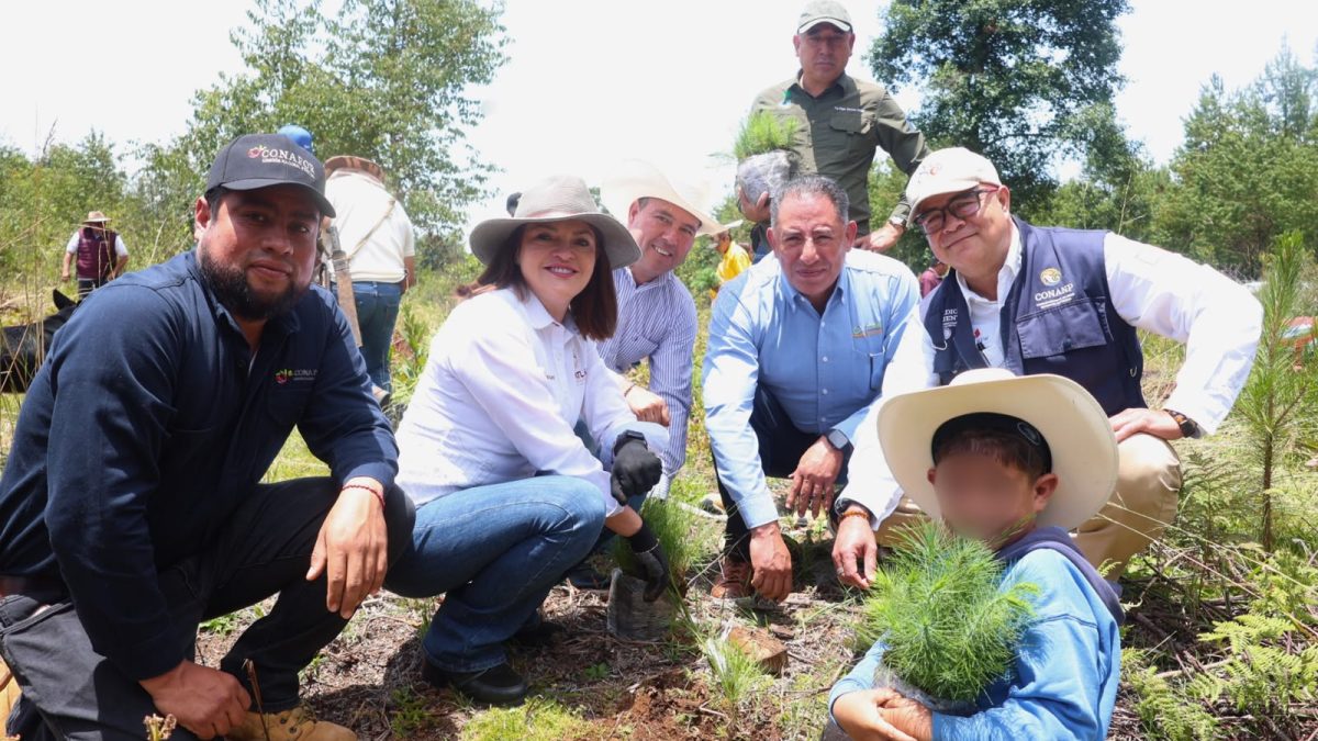 Ayuntamiento de Zacatlán se suman a jornada estatal de reforestación